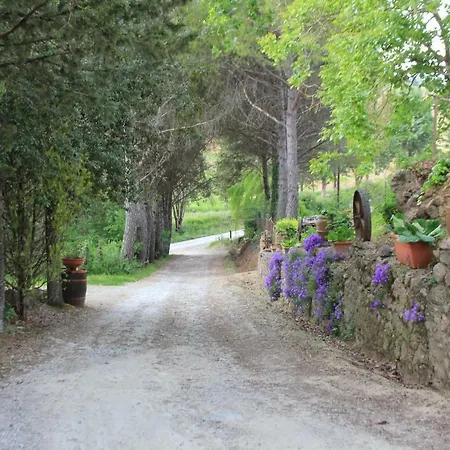 Santa Chiara Apartment *